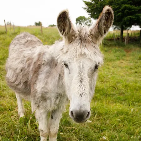 Le Clos Du Mouy Bed & Breakfast 3*